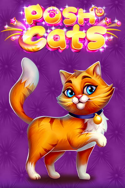 Posh Cats